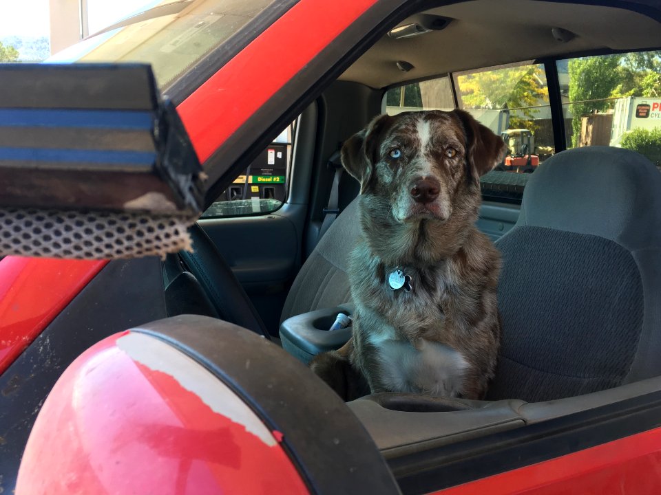 Would You Like Your Windshield Cleaned, Sir?
