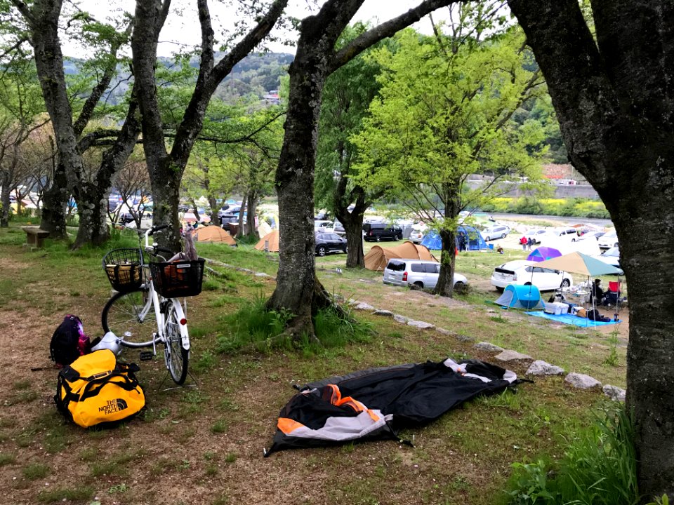 Lively Campgrounds