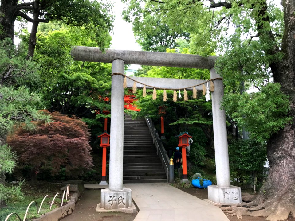 Gray Shrine Torii