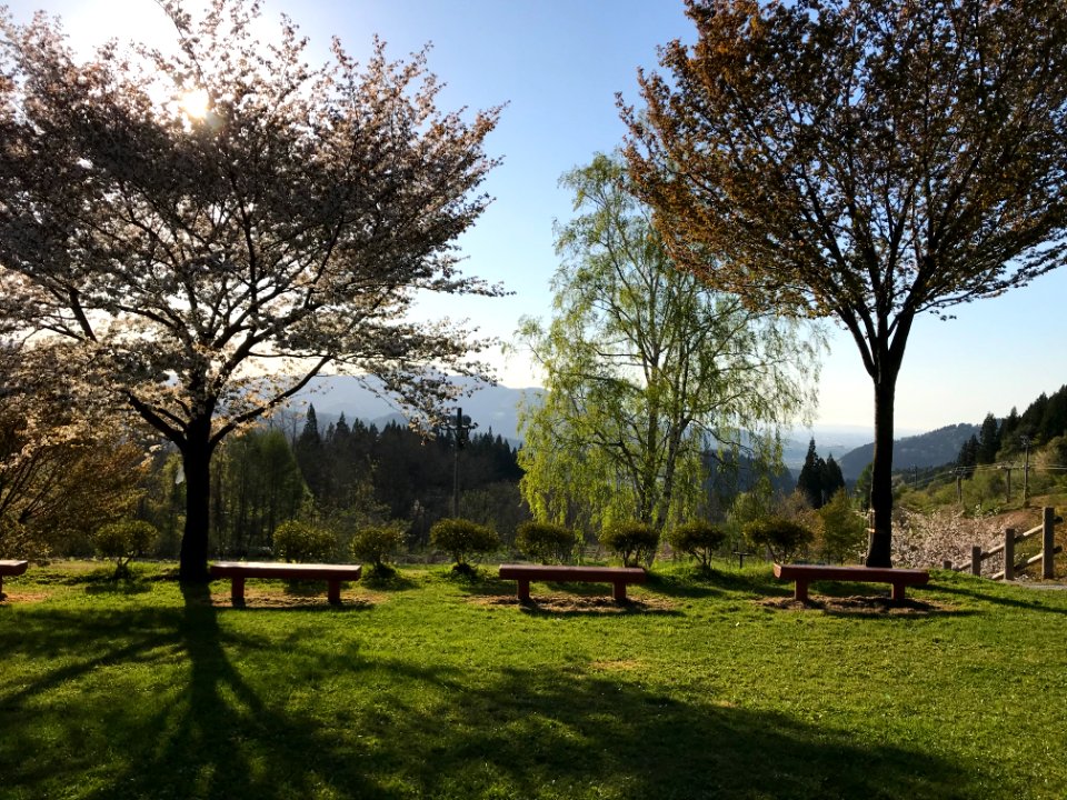 Mountain top campsite in Japan