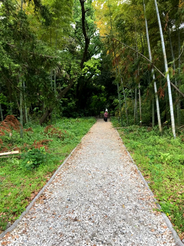 Greenspace next to college campus