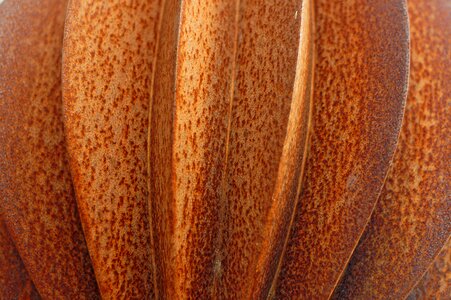 Rust copper color rusty