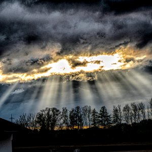20200501 Donau 017-2 HDR
