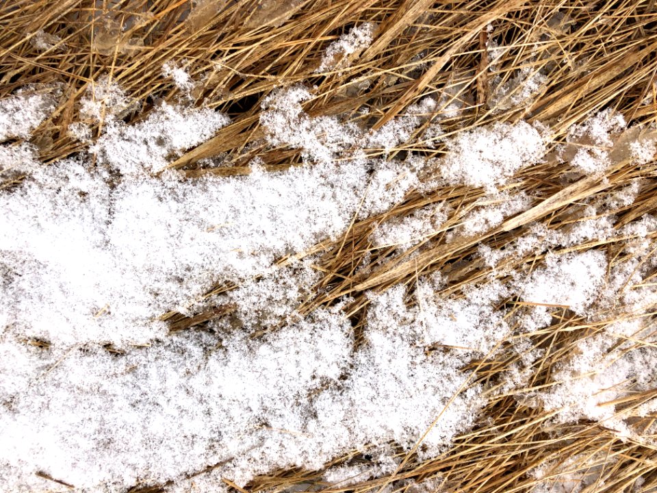 Snow Dust