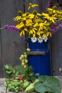 Coneflower grapes plums