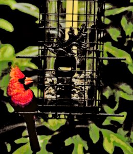 With Fuji xh-1 and 100-400mm.
