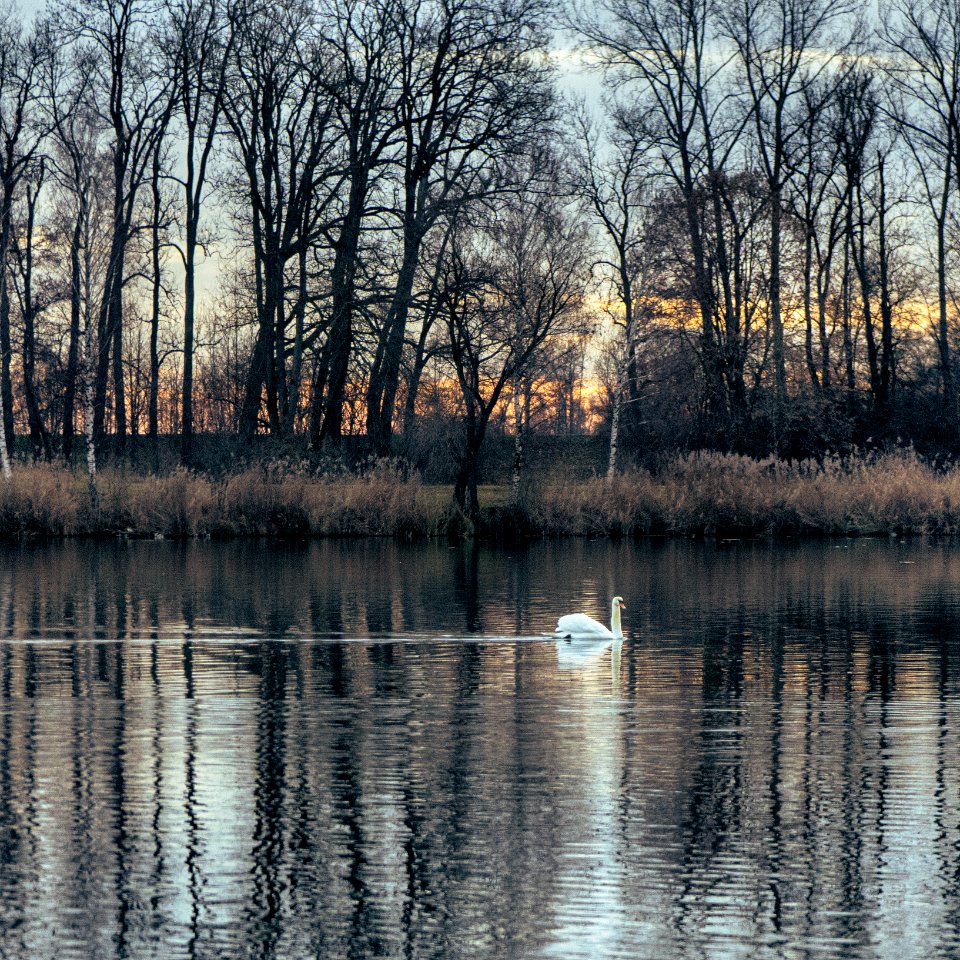 Baggersee