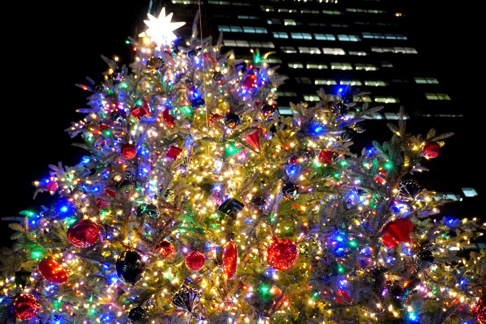 Christmas tree at Yebisu garden place