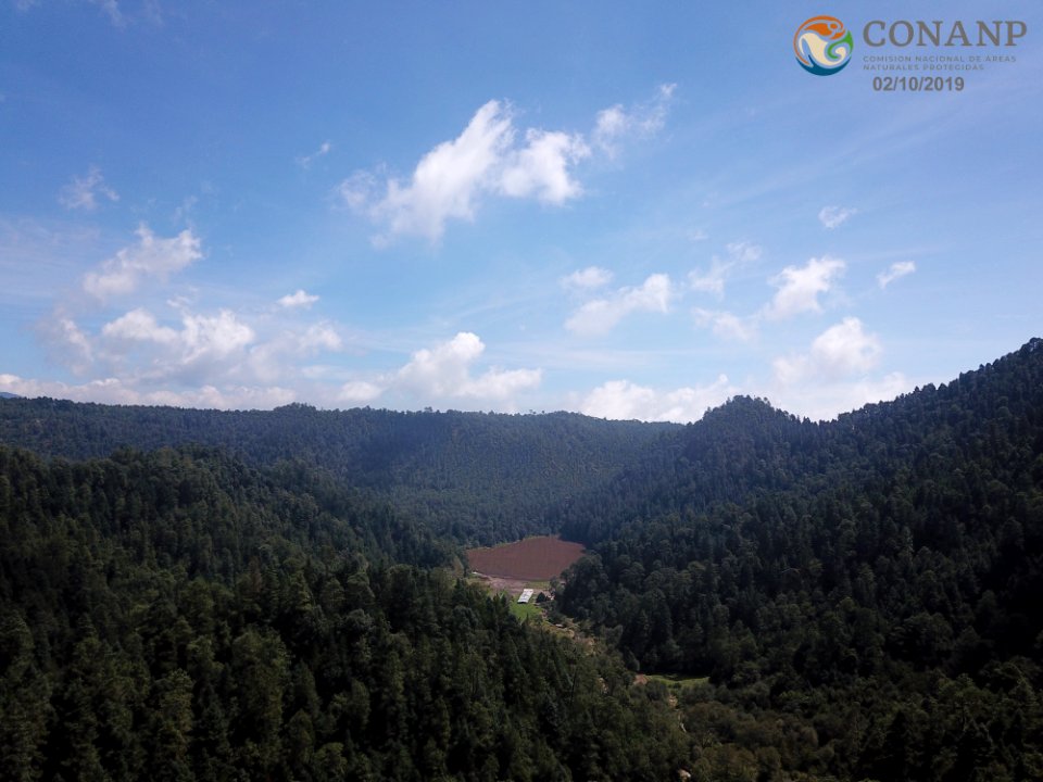 DJI 0059 copy