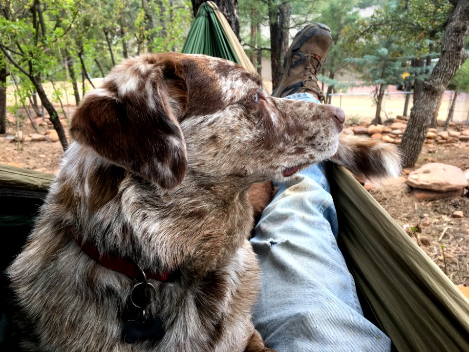 Together in Hammock