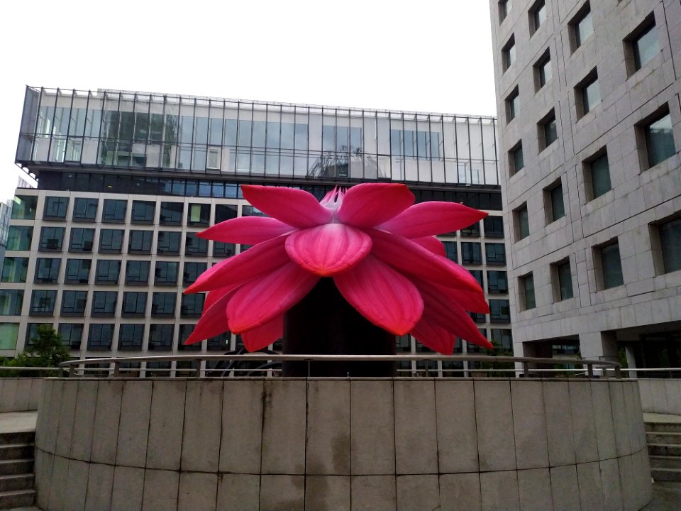 IMG 20190630 145520