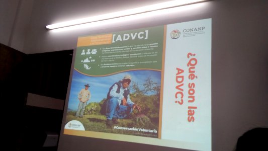SEIARN DIRECCIÓN DE SISTEMAS DE INFORMACIÓN AMBIENTAL FERNANO VALDEZ CALDERÓN IMG 20190626 102838