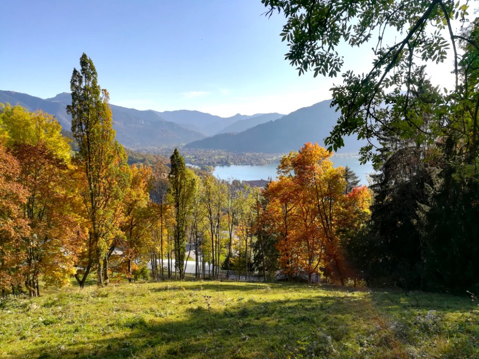 IMG 20181011 162119