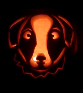Felix is Pumpkinized!