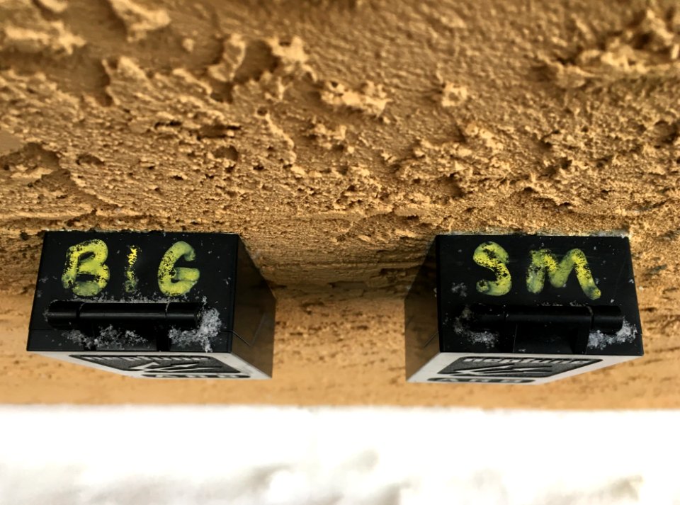 2018/365/315 Big or Small?