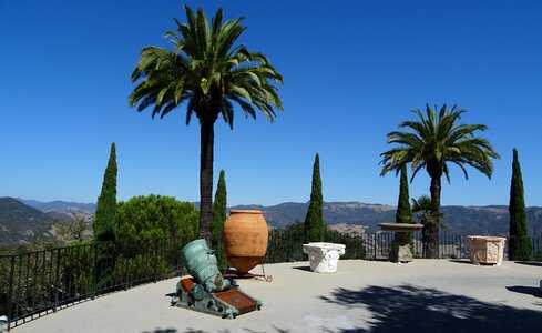 Hearst castle castle palm