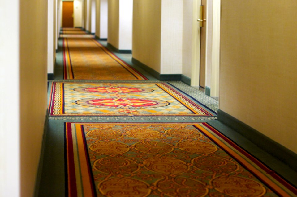 Where Do Hotels Find Such Ugly Carpet?