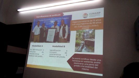 SEIARN DIRECCIÓN DE SISTEMAS DE INFORMACIÓN AMBIENTAL FERNANO VALDEZ CALDERÓN IMG 20190626 102946