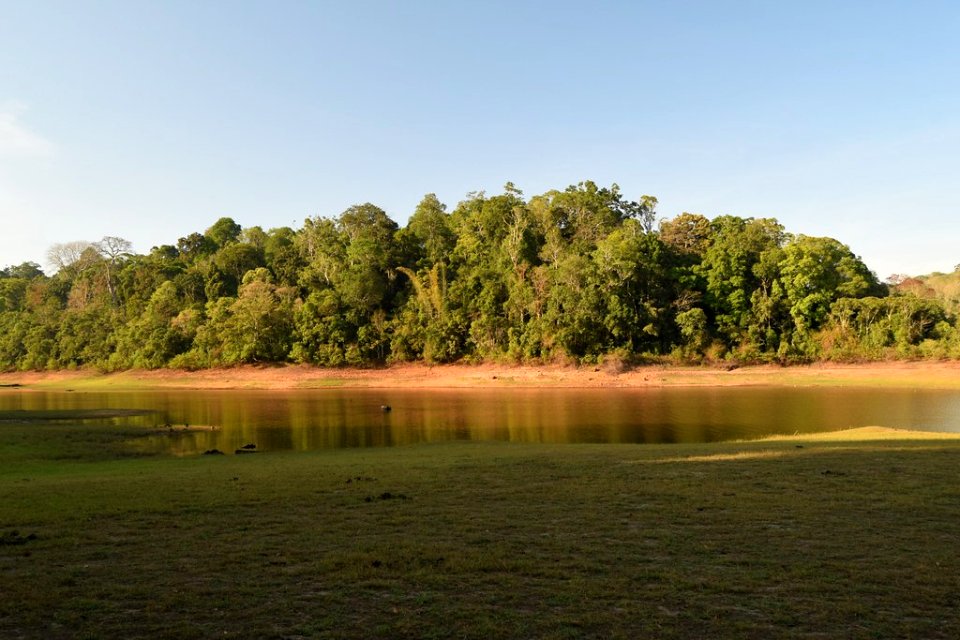 Best  Periyar Wildlife Sanctuary