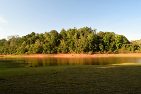 Best  Periyar Wildlife Sanctuary