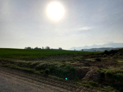 Hazy Sun in Hokkaido