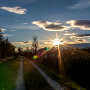 20210411 Buschletten 110