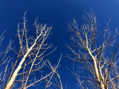 2021/365/63 Up the Sky