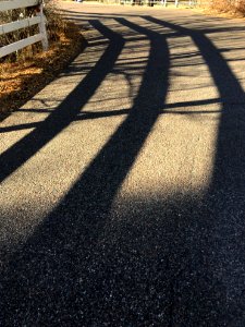 Stay in Your Shadow Lanes