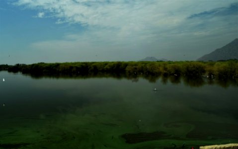 Kumarakom in Kerala photo