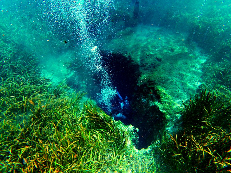Florida's Blue Whole
