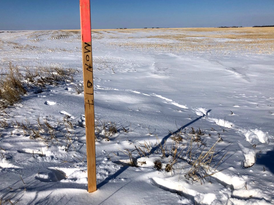 2021/365/69 Marking Earth