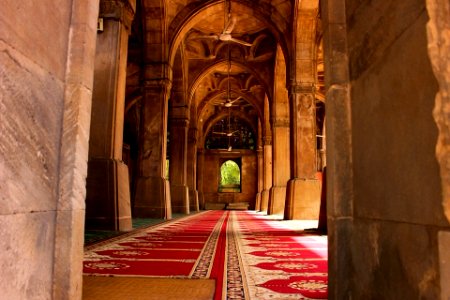 Sidi Saiyyed Mosque Ahmedabad