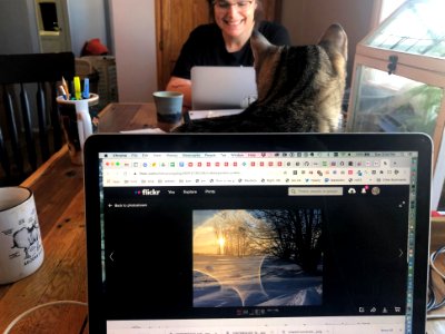 2021/365/38 So Much Work at the Table