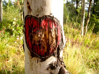 Scratch Out Love