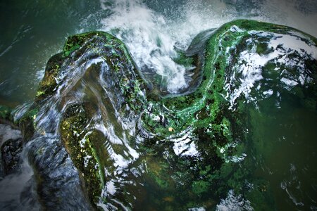 Wonder island water