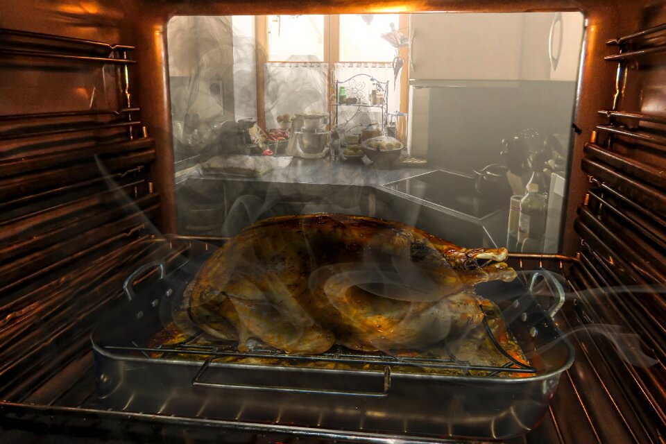 Goose assembly eat