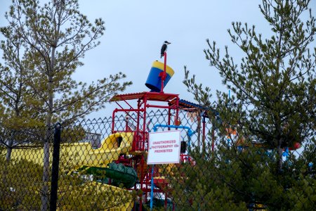 20210116-DSCF2634