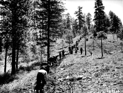 407333-ccc-fire-training-boise-nf-id-1941 22749150322 o photo