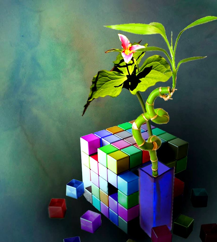 Reason and poetry