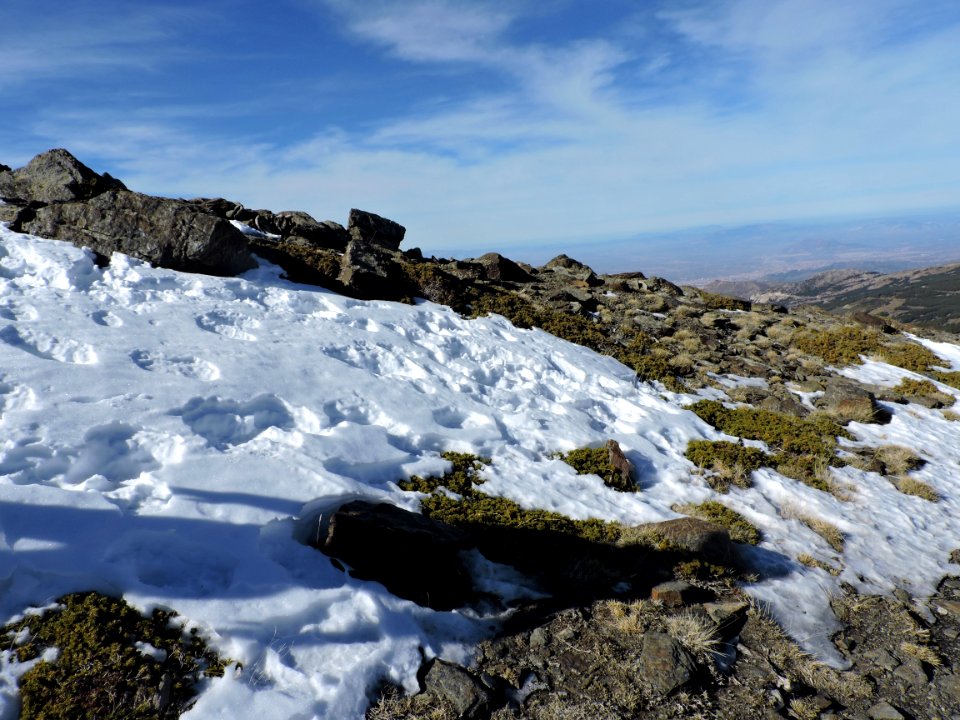 Sierra de las Nieves  (Granada).