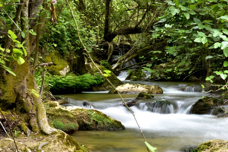 Río Majaceite. Benamahoma (Cádiz).