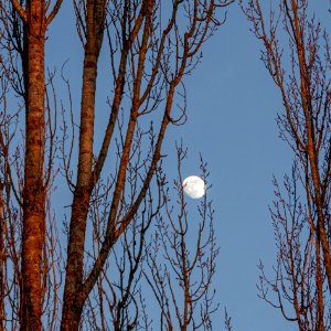 20200206 Sonnenuntergang 035