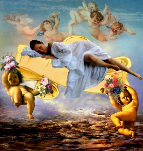 The born of Venus