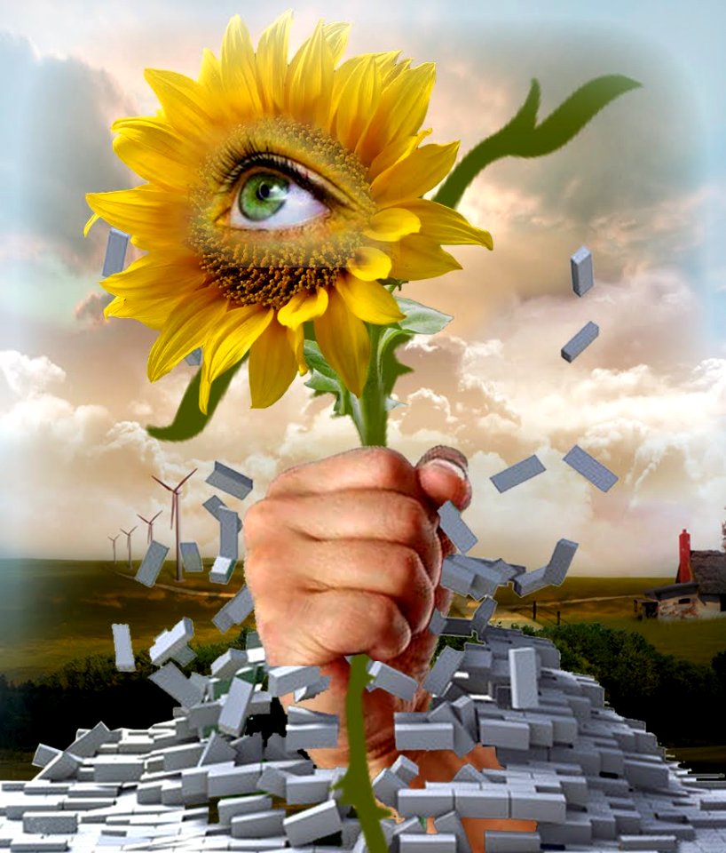 Surrealism seeds