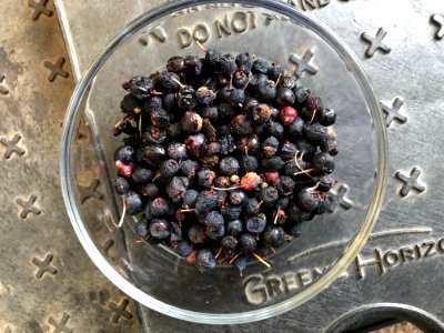 Not Bad For Late Season Blueberries