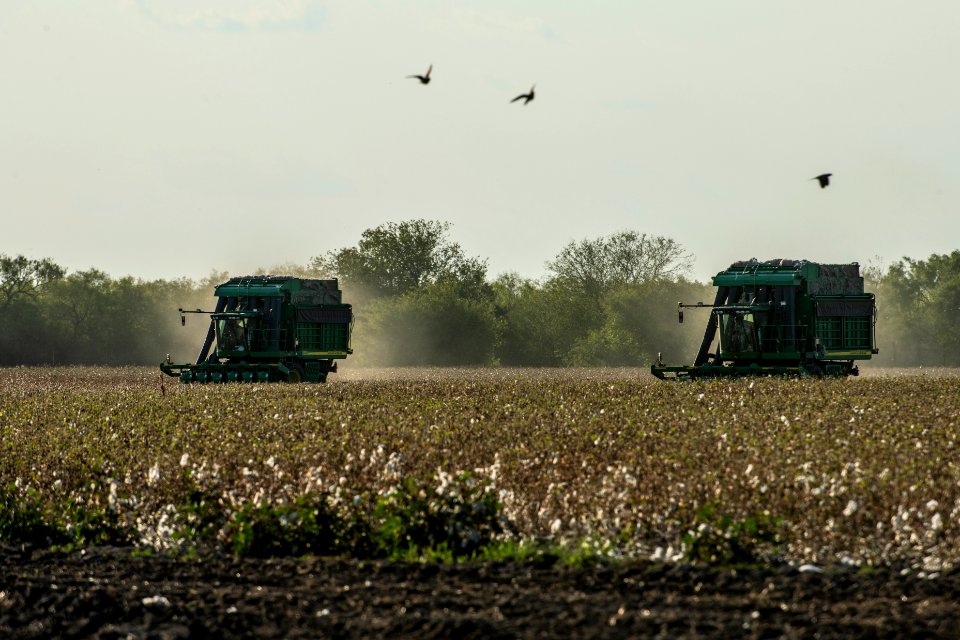 20200822-NRCS-LSC-0875