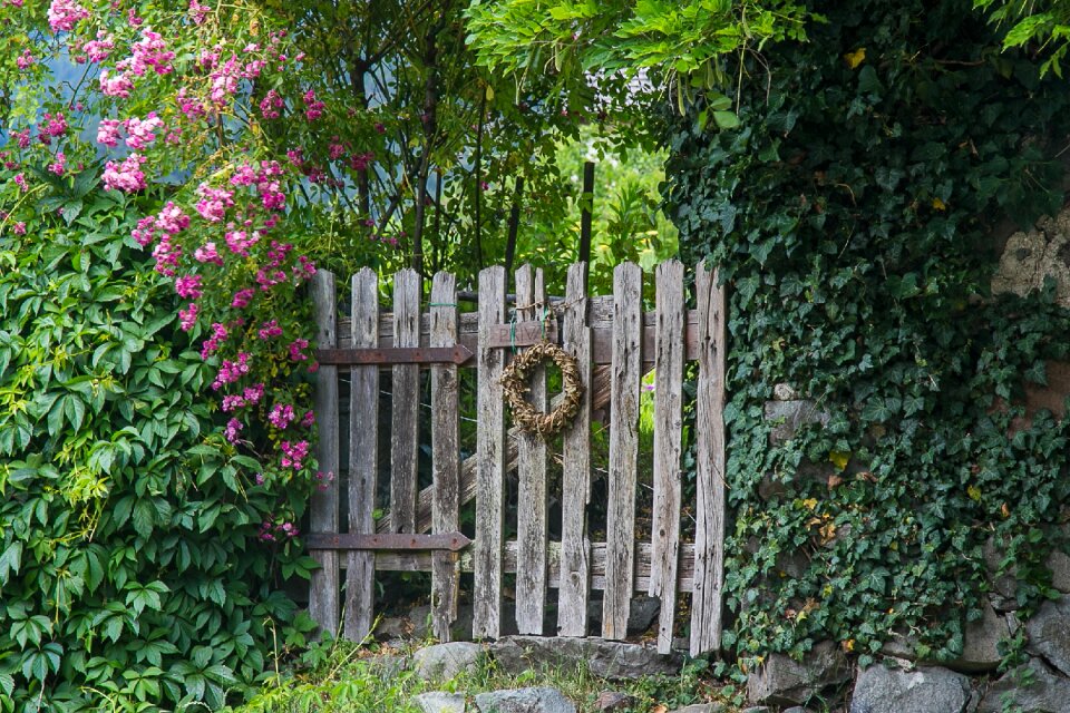 Garden fenced garden door