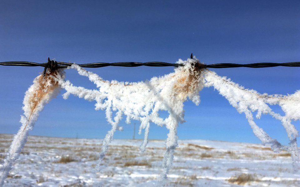 Iced Neclace