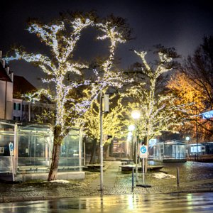 20201206 Sonntag 049 HDR