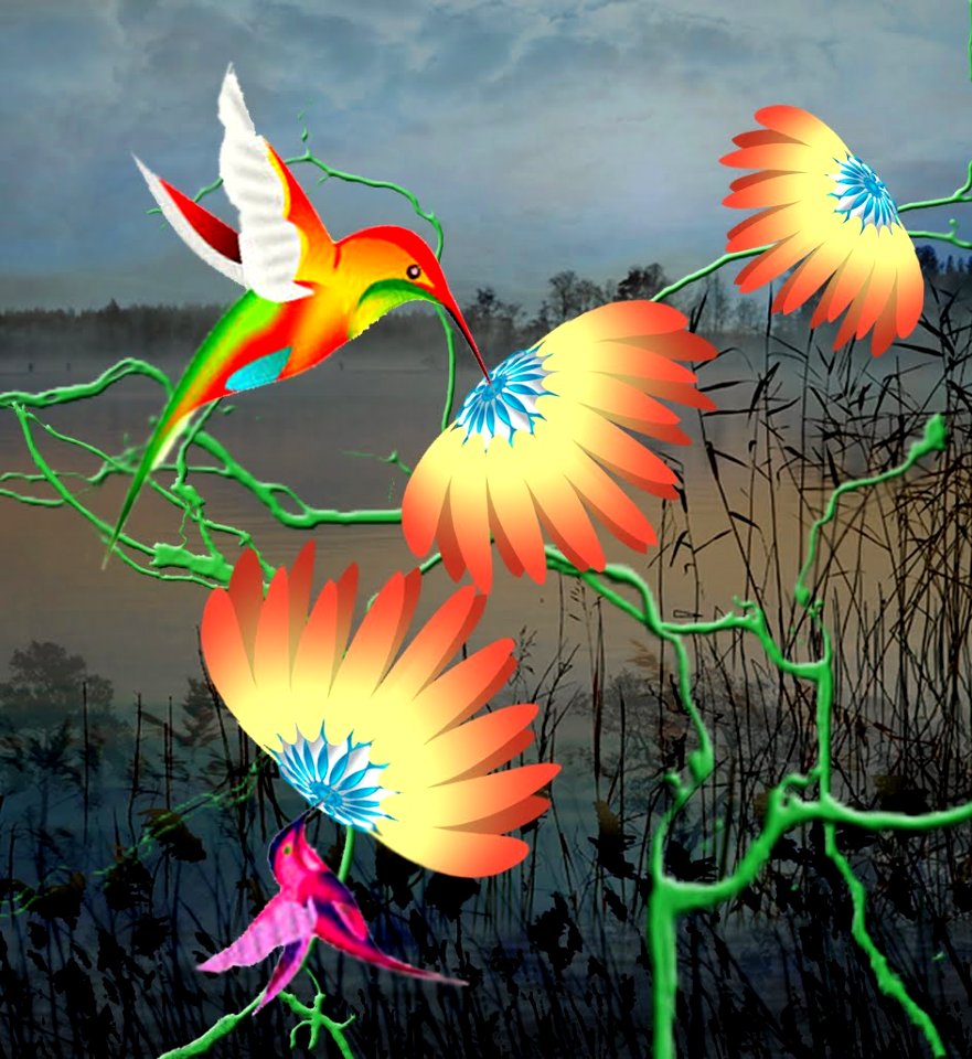 Hummingbird